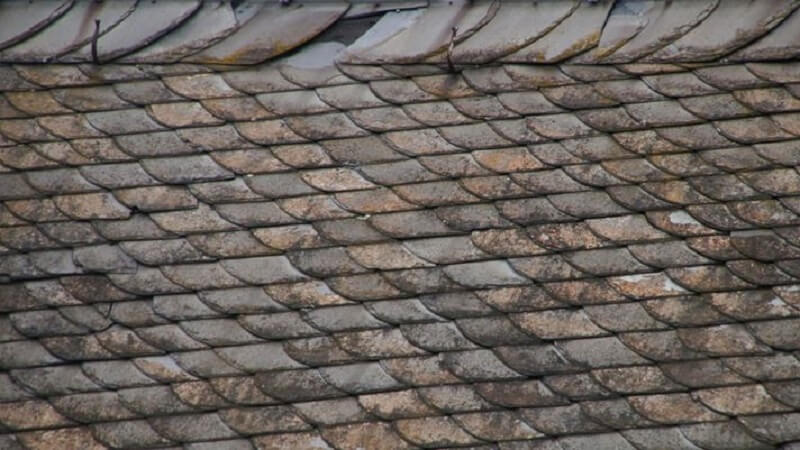 The Hidden Dangers of Neglecting Curled or Missing Shingles on Your Roof