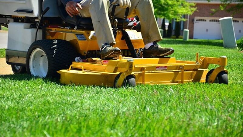 The Benefits of Investing in Affordable Lawn Care for Your Home