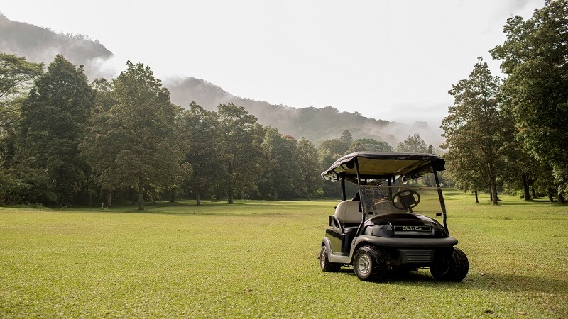 The Key Features to Look For in a High-End Custom Golf Cart