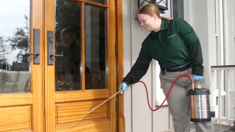 Effective Nowra Pest Control Solutions to Protect Your Home